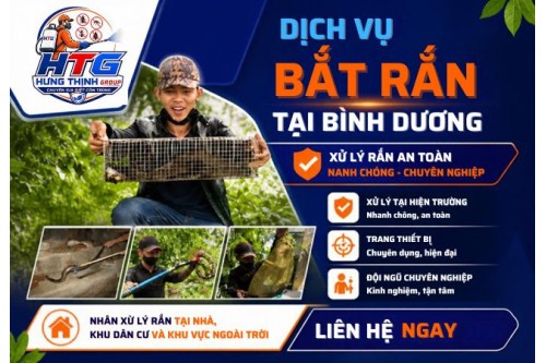 Dịch vụ bắt rắn tại Bình Dương, Nhanh chóng an toàn hiệu quả