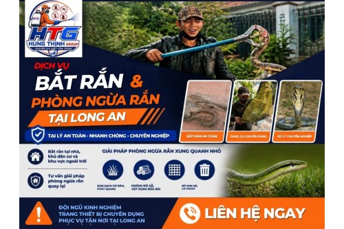 Dịch vụ bắt rắn tại Long An,Chuyên nghiệp an toàn giá rẻ
