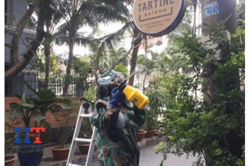Dịch Vụ Bắt Ong Tại Bình Chánh TP. Hồ Chí Minh