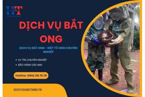 Dịch Vụ Bắt Ong Tại Quận 2 TP.HCM