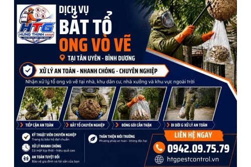 Dịch vụ bắt ong tại Tân Uyên Bình Dương,Uy tín chuyên nghiệp