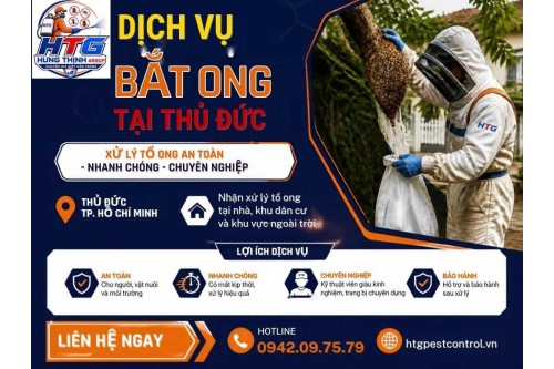 Dịch vụ bắt tổ ong tại Thủ Đức,Chuyên nghiệp uy tín giá rẻ