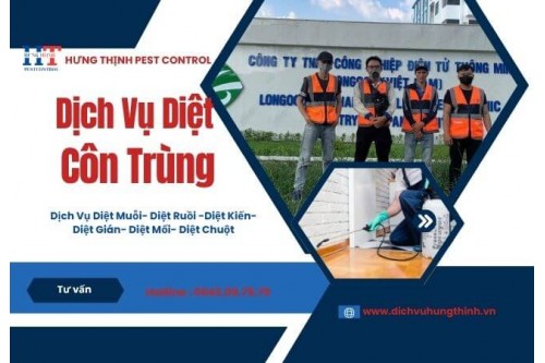 Dịch Vụ Phun Thuốc Diệt Muỗi Tại Nhà Bình Dương
