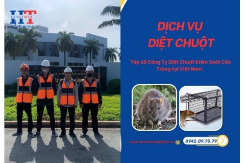Dịch Vụ Diệt Chuột Tại Quận 1 Giá Rẻ