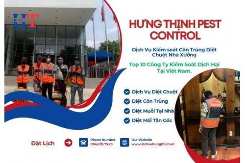 Công Ty Diệt Chuột Tại Trảng Bàng Tây Ninh