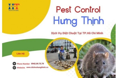Dịch Vụ Diệt Chuột Tại Bình Tân Giá Rẻ