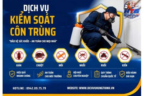 Dịch vụ diệt chuột tại Quận 9 TP.HCM,Uy tín chất lượng giá rẻ