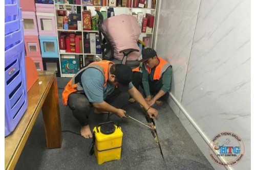 Dịch vụ diệt mối tại Quận 9 TP.Hồ Chí Minh