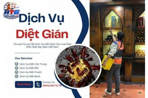 Dịch Vụ Diệt Gián Tại TP.Hồ Chí Minh Dịch Vụ Diệt Gián Tại TP.Hồ Chí Minh