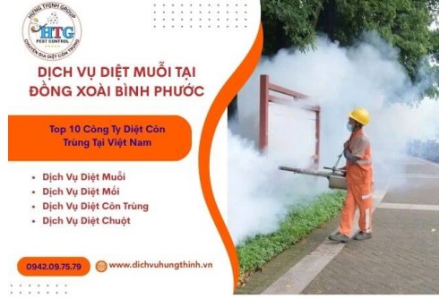 Dịch Vụ Phun Thuốc Diệt Muỗi Tại Đồng Xoài Bình Phước