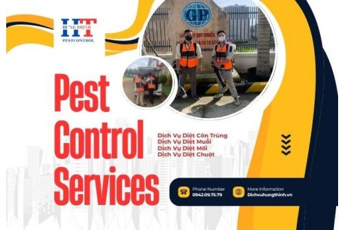 Dịch Vụ Diệt Mối Tận Gốc Tại Quận 12 Giá Rẻ