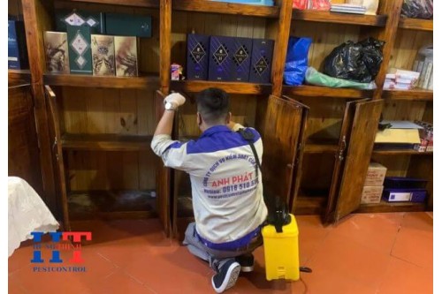 Dịch Vụ Diệt Mối Tận Gốc Tại Dầu Tiếng Giá Rẻ