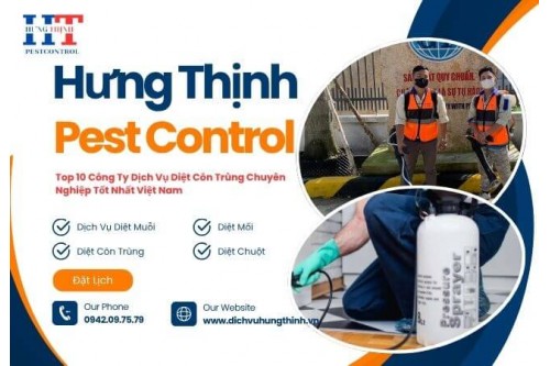 Dịch Vụ Diệt Mối Tận Gốc Tại Nhơn Trạch Giá Rẻ