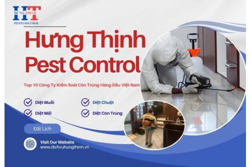 Dịch Vụ Diệt Chuột Tại Phú Nhuận Giá Rẻ