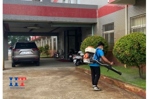 Dịch Vụ Diệt Côn Trùng Tại Vũng Tàu Giá Rẻ