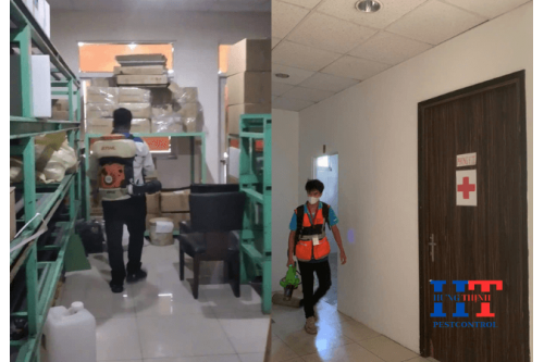 Dịch Vụ Diệt Côn Trùng Tại Quận 8 Giá Rẻ