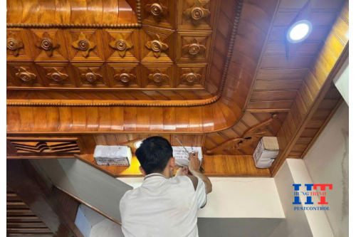 Dịch Vụ Diệt Mối Tận Gốc Tại Biên Hoà Giá Rẻ