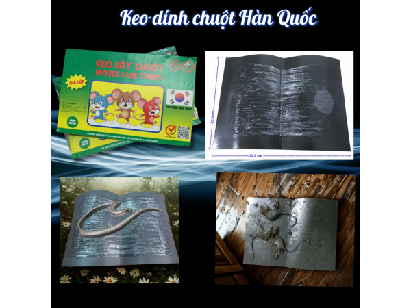 Keo Bẫy Chuột, Keo Dính Chuột BIO (Sẵn Mồi)