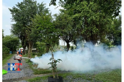 Dịch Vụ Diệt Côn Trùng Tại Xuyên Mộc Bà Rịa Vũng Tàu