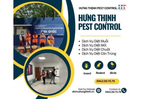Dịch Vụ Diệt Chuột Tại Quận 11 Giá Rẻ