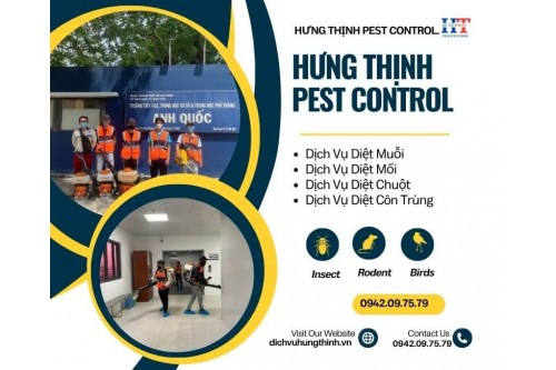 Dịch Vụ Diệt Mối Tận Gốc Tại Thủ Đức Giá Rẻ