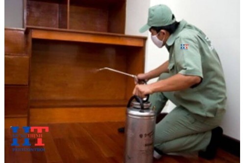 Dịch Vụ Diệt Mối Tại Trảng Bom Đồng Nai