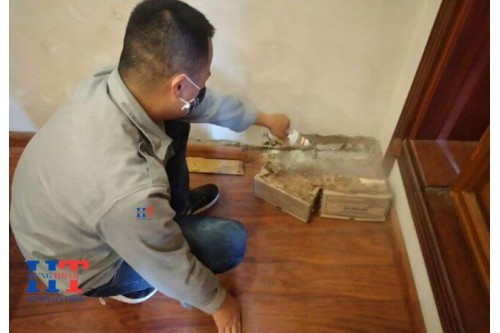 Dịch Vụ Diệt Mối Tận Gốc Tại Bến Tre Giá Rẻ