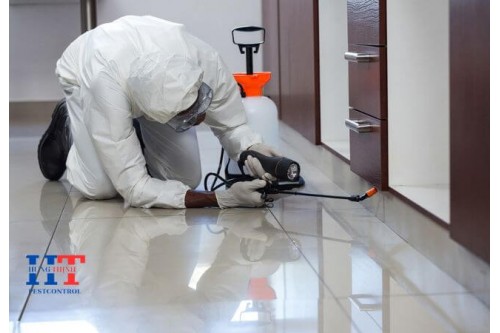 Công Ty Dịch Vụ Diệt Côn Trùng Tại Trảng Bom 