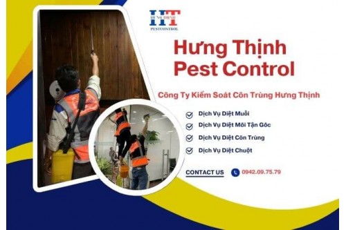 Dịch Vụ Diệt Mối Tận Gốc Tại Mỹ Tho Giá Rẻ