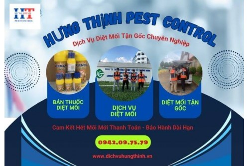 Dịch Vụ Diệt Mối Tận Gốc Tại Củ Chi Giá Rẻ