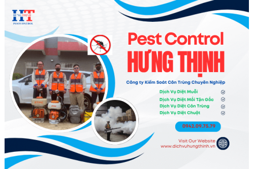 Dịch Vụ Diệt Mối Tại Tận Gốc Tại Hóc Môn Giá Rẻ