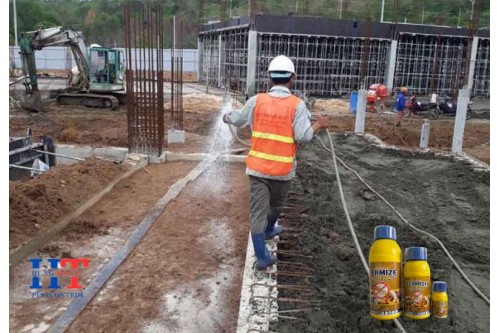 Dịch Vụ Diệt Mối Tận Gốc Tại Tân Uyên Giá Rẻ
