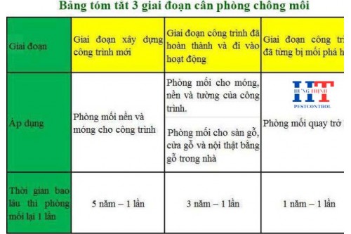 Dịch Vụ Diệt Mối Tận Gốc Tại Bến Lức Giá Rẻ