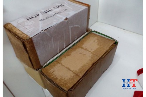 Dịch Vụ Diệt Mối Tại Bình Phước Giá Rẻ