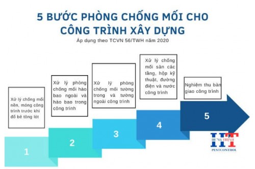 Dịch Vụ Diệt Mối Tận Gốc Tại Bình Chánh Giá Rẻ
