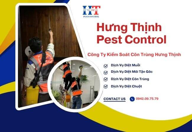Dịch Vụ Diệt Mối Tại Quận 7 TP. Hồ Chí Minh
