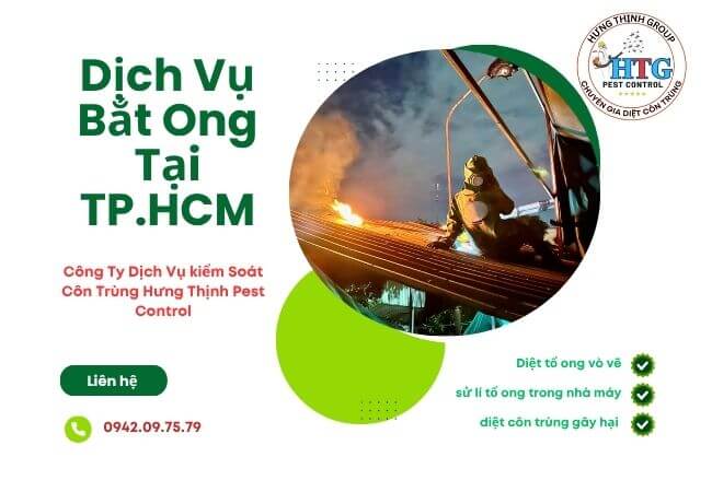 Dịch Vụ Bắt Ong Tại Huyện Nhà Bè TP. Hồ Chí Minh