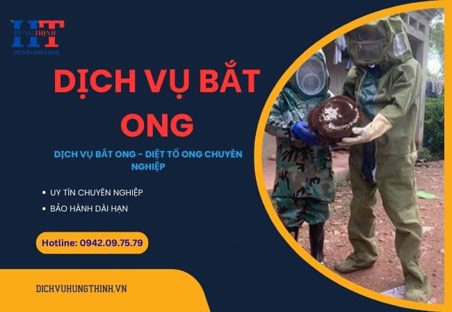 Dịch Vụ Bắt Ong Tại Đồng Nai