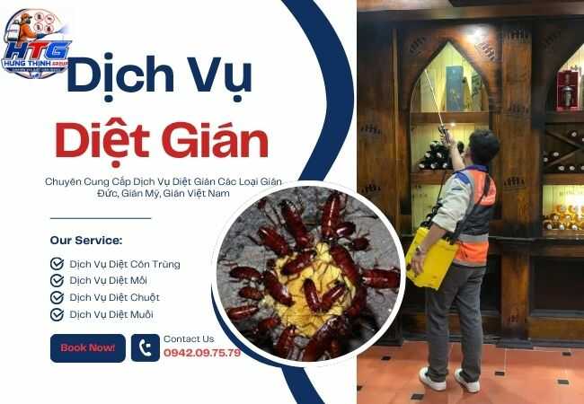 Dịch vụ diệt gián tại Tân Bình TP.HCM, Diệt tận gốc
