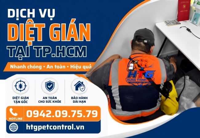 Dịch vụ diệt gián tại Quận 1,TP.HCM,An toàn hiệu quả