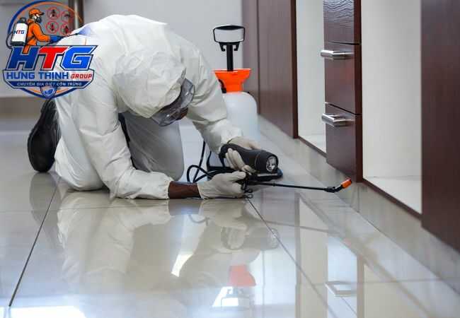 Dịch vụ diệt gián tại Bình Thạnh TP.HCM, An toàn diệt tận gốc