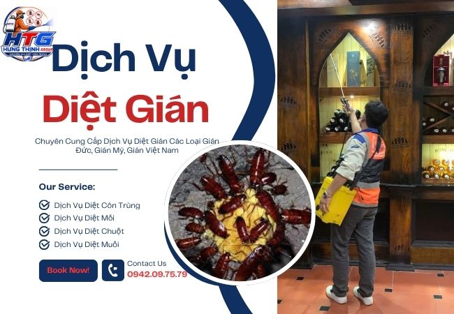 Dịch Vụ Diệt Gián Tại TP. Hồ Chí Minh