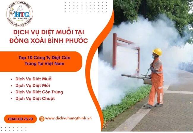 Dịch Vụ Phun Thuốc Diệt Muỗi Tại Đồng Xoài Bình Phước
