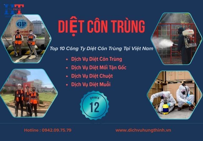 Dịch Vụ Diệt Côn Trùng Tại Quận 4 Giá Rẻ