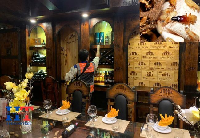 Dịch Vụ Diệt Côn Trùng Tại Quận 2 Giá Rẻ