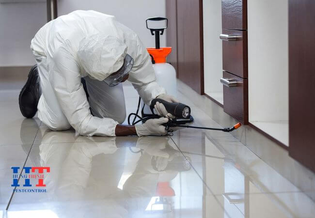 Dịch Vụ Diệt Côn Trùng Tại Đất Đỏ Bà Rịa Vũng Tàu