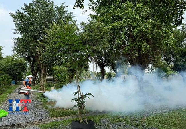 Dịch Vụ Diệt Côn Trùng Tại Xuyên Mộc Bà Rịa Vũng Tàu