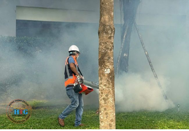 Dịch Vụ Diệt Côn Trùng Tại Hà Nội