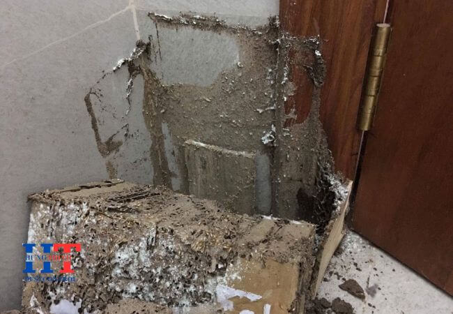 Dịch Vụ Diệt Mối Tại Phường An Đông TP. Hồ Chí Minh
