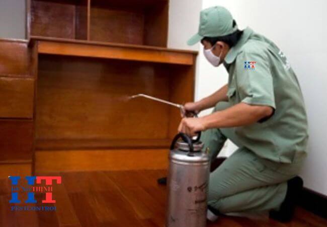 Dịch Vụ Diệt Mối Tại Trảng Bom Đồng Nai
